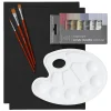 Beginners Acrylic Metallic Paint Kit, alt til nybegynneren som ønsker å begynne med akrylmaling
