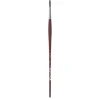 College 8730 Round Brush 10