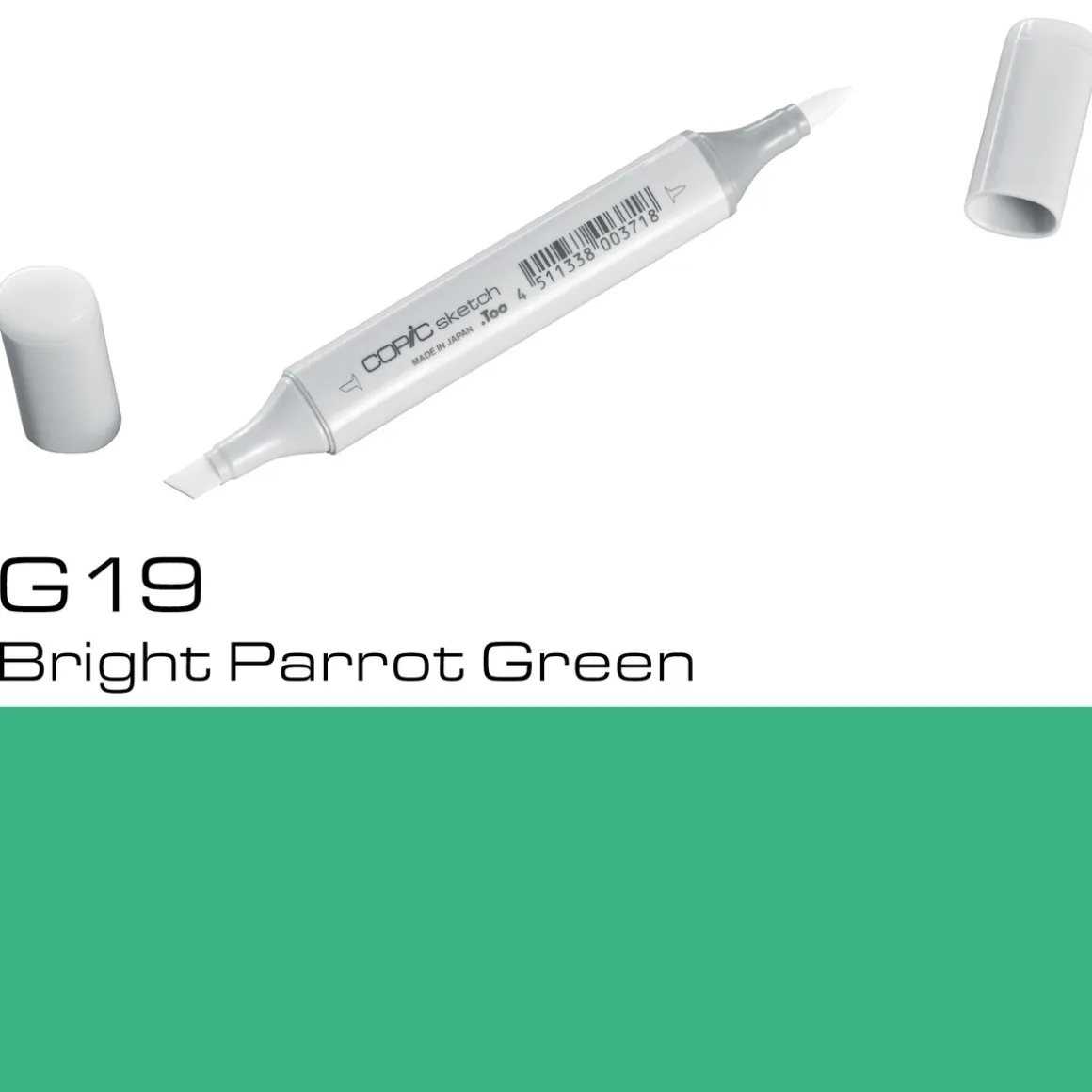Copic Sketch G19 Br.Parr Green