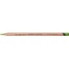 Derwent Lightfast fargeblyant – Grass green 70% (2)