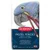 Derwent pastellblyanter 12 stk