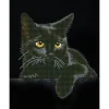 Diamond Dotz Midnight Cat – diamond painting, 27,9×35,5 cm, 4389 dotz