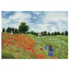 Diamond Dotz Poppy Fields – diamond painting, 57×41 cm, 28600 dotz