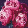 Diamond painting – 20×20 cm stort motiv med en vakker bukett rosa peoner
