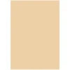Folia A4 170 g beige 10-pk
