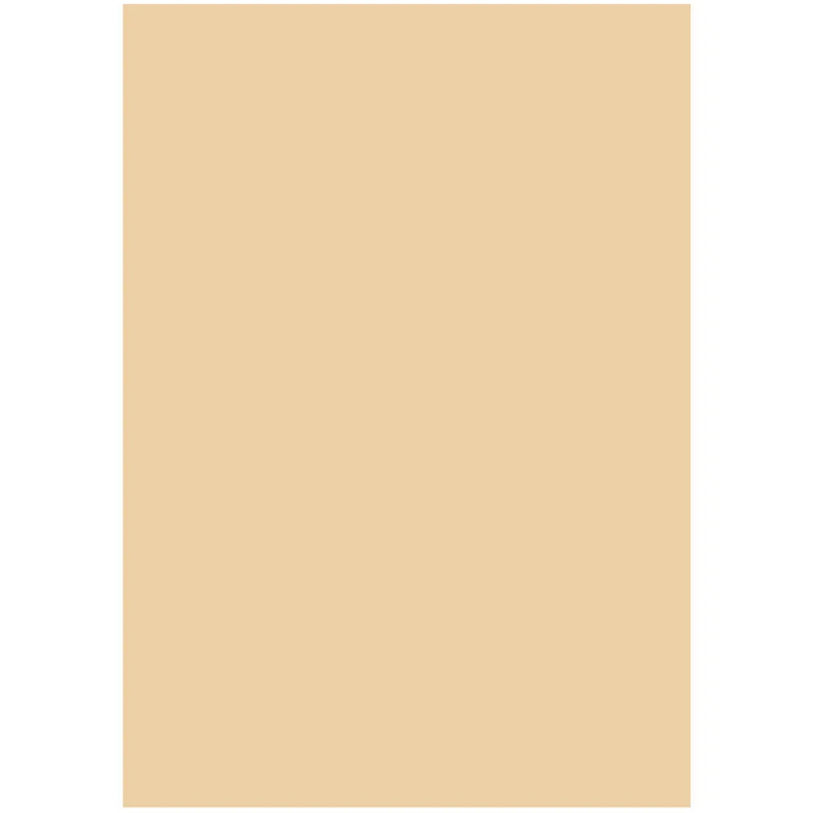 Folia A4 170 g beige 10-pk