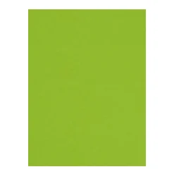 Hobbykartong 10-pakning, A4 (210×297 mm), 220 g/m² – grønn