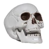 Hodeskalle av plast til Halloween-dekorasjon. Størrelse ca. 10×10×10 cm