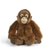 Kosedyr orangutang