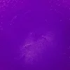 Lyspigment, fargepigment for å lage lys – lilla, 4 gram