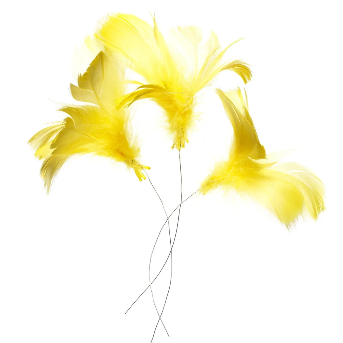 Magnoliafjær 12 stk. gul