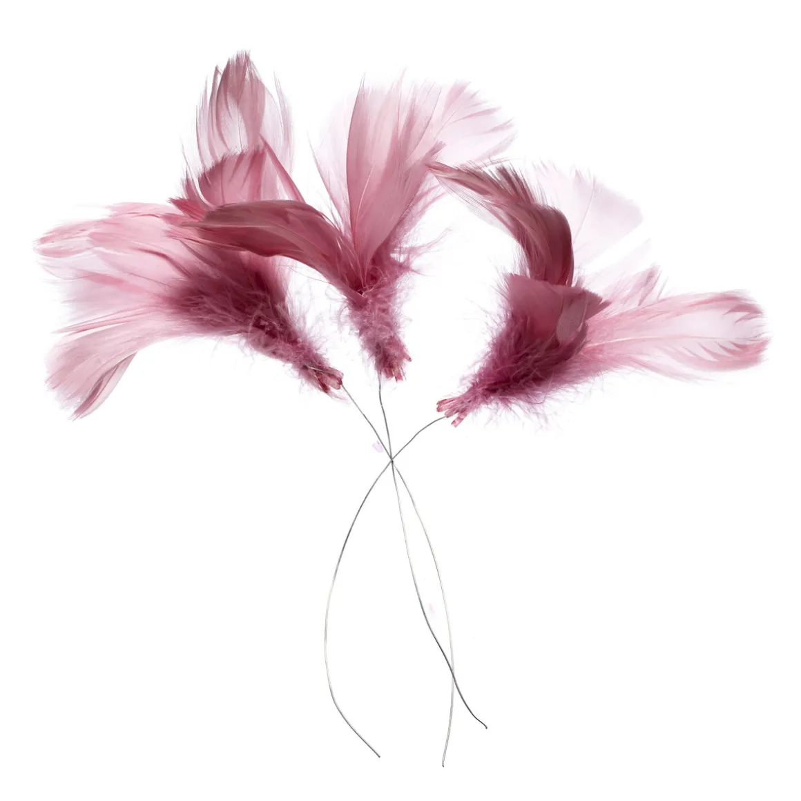 Magnoliafjær 12 stk. rosa