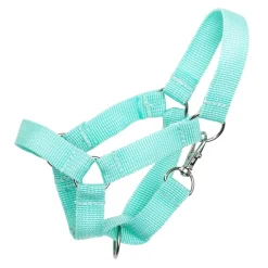 Mintgrønn grime av nylon, beregnet for Hobby Pony