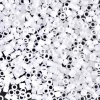 MIYUKI Delica hvit matt 5g – DBM0851 Crystal Matted AB