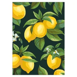 Paint by number / mal etter tall – sitroner, 25×35 cm + 18 farger og 3 pensler