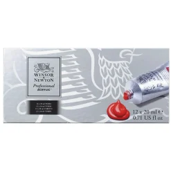 Professional Acrylic 12x20 ml