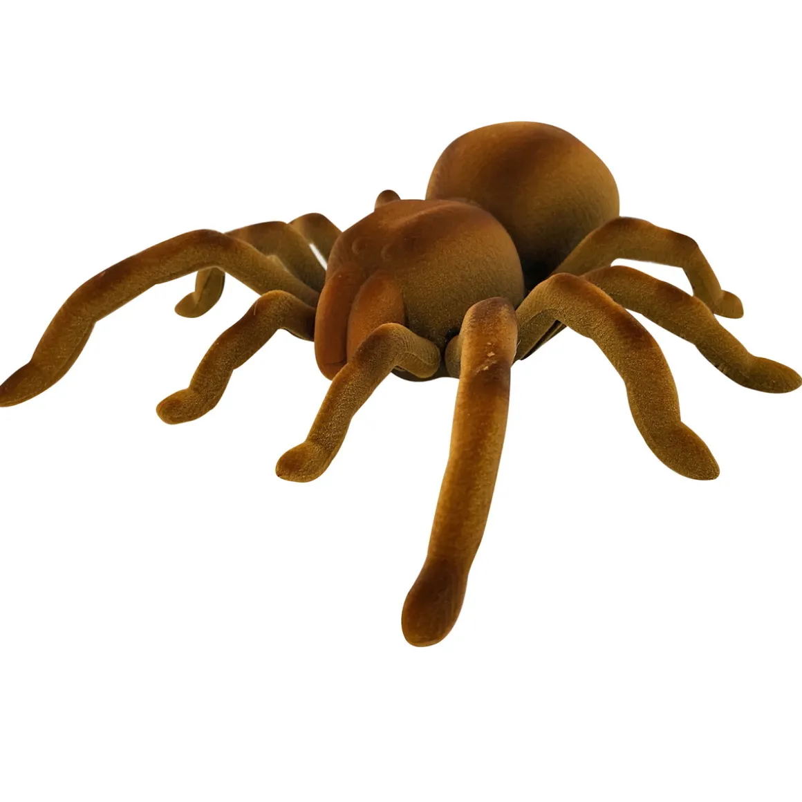 Real Wild Giant Spider – den lynraske kjempeedderkoppen
