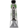 Rembrandt akrylmaling 40 ml Permanent Green Light - 618
