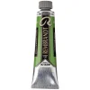 Rembrandt oljemaling 40 ml Cinnabar Green Medium - 625