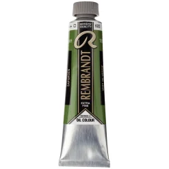 Rembrandt oljemaling 40 ml Sap Green - 623