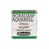 Schmincke Horadam akvarellmaling ½ kopp – Sap green 530