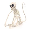Skjelett-ape