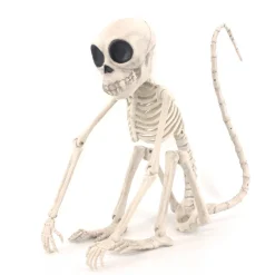 Skjelett-ape
