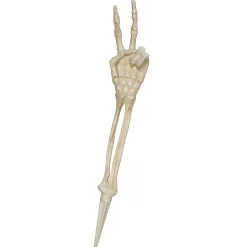 Skjelettdel arm fredstegn