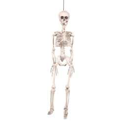 Skjelett i plast til Halloween 90 cm med bevegelige ledd