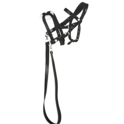 Svart bissel, hodelag med kryssneserem til kjepphest og hobby horse