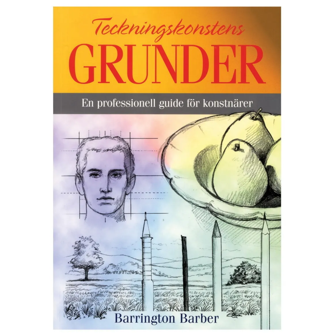 Tegnekunstens grunner: en profesjonell guide for kunstnere. Svensk tekst