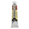 Water col 20 ml Burnt sienna