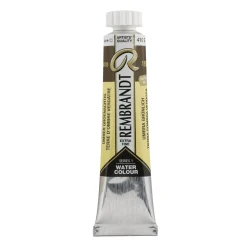 Water col 20 ml Greenish umber