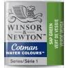Winsor & Newton Cotman akvarellmaling halvkopp – Sap Green 599