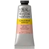 Winsor & Newton Galeria akrylmaling 60 ml Pale Rose Blush 257