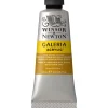 Winsor & Newton Galeria akrylmaling 60 ml Raw Sienna Opaque 553