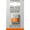 Winsor & Newton Professional akvarellmaling halvkopp Burnt Umber 076