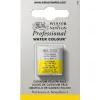Winsor & Newton Professional akvarellmaling halvkopp Caput Mortuum Violet 125