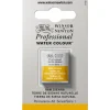 Winsor & Newton Professional akvarellmaling halvkopp Raw Umber 554
