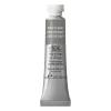 Winsor & Newton Professional akvarellmaling 5 ml Davy'S Grey 217