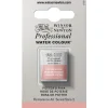 Winsor & Newton Professional akvarellmaling halvkopp Terre Verte (yellow shade) 638