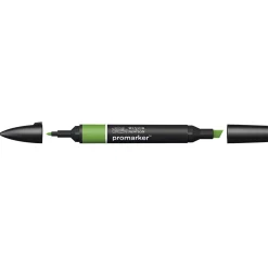 Winsor & Newton Promarker Forest Green (G356)
