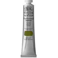 W&N Akr 200 ml Olive Green